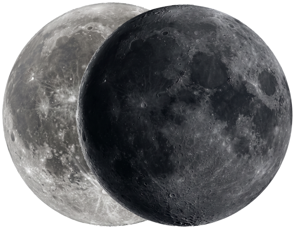 TrueEcho logo on dark