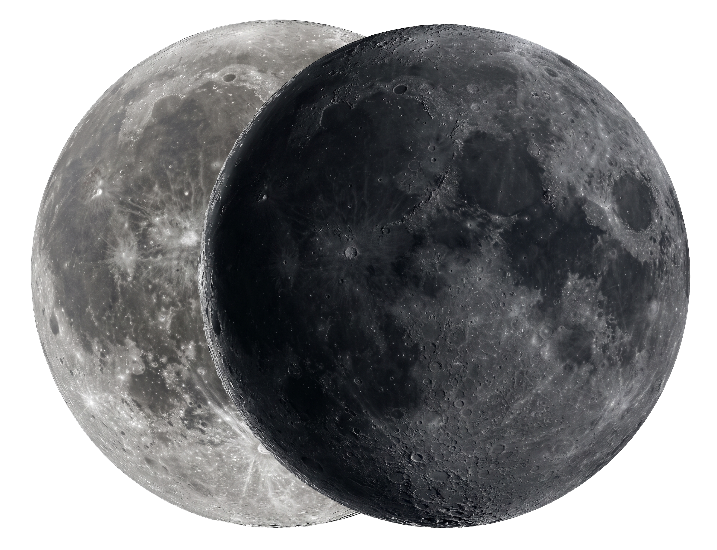 TrueEcho logo on dark