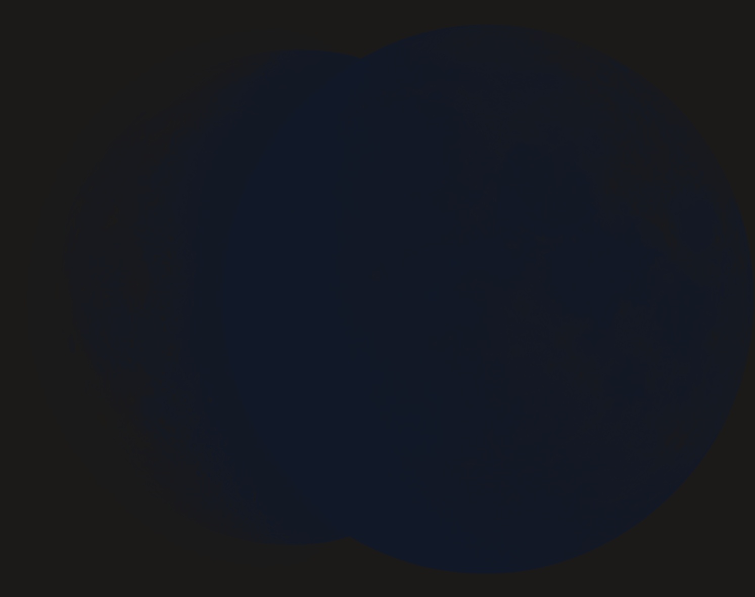 TrueEcho logo on dark